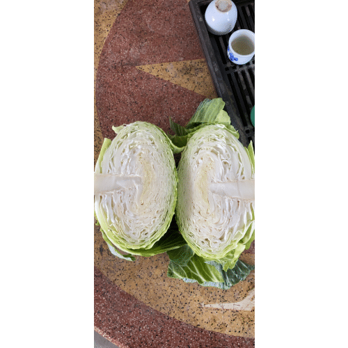 Bắp cải Hải Dương ( 9-10 bắp/ túi ) 8 bap02
