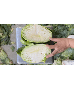 Bắp cải Hải Dương ( 9-10 bắp/ túi ) 11 bap03