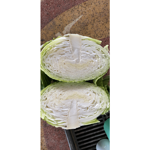 Bắp cải Hải Dương ( 9-10 bắp/ túi ) 4 bap05