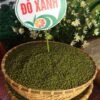 Đỗ xanh (đậu xanh) Hộ Đáp 2 doxanh 1