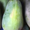 Đu đủ ruột vàng Hộ Đáp 1 dudu 02