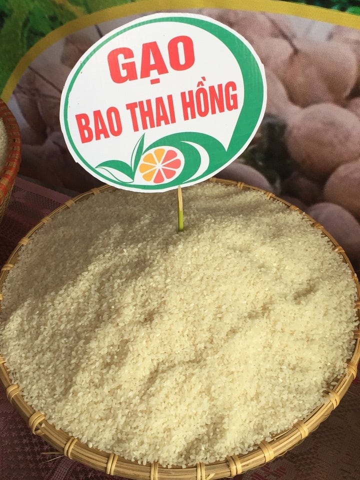 Gạo Bao Thai Hồng Hộ Đáp - Hương Vị Của Vùng Đất Sông Cửu Long 3 gaobaothai 01