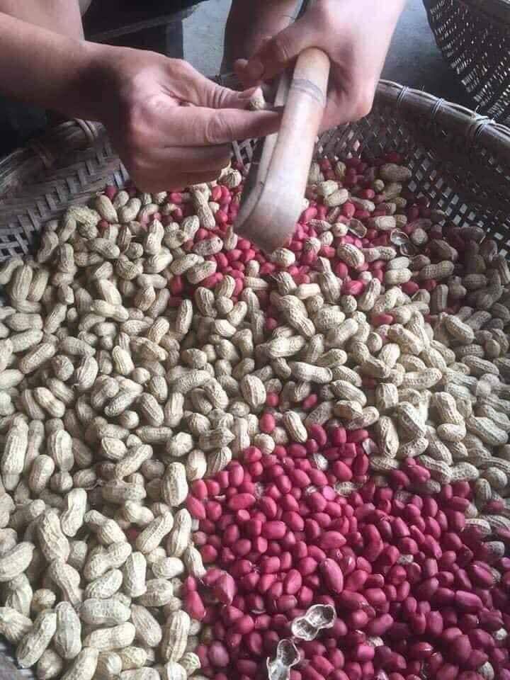 Đặc sản Lạc đỏ Sa Lý 5 lacdo 02