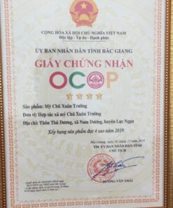myxuantruong 02