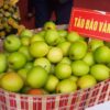 Táo Đào Vàng Lục Ngạn 1 tao 01 3