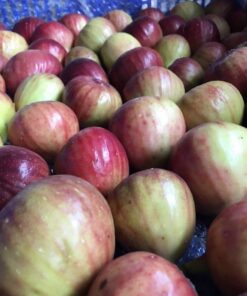 Figs4