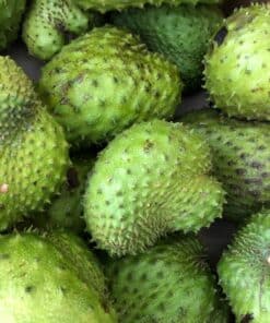 Soursop 03