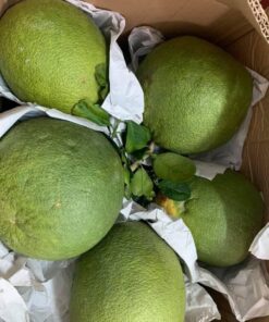 Bưởi da xanh miền Tây 8 buoidaxanh 02 2