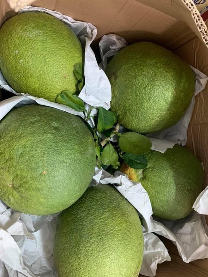 Bưởi da xanh miền Tây 4 buoidaxanh 02 2