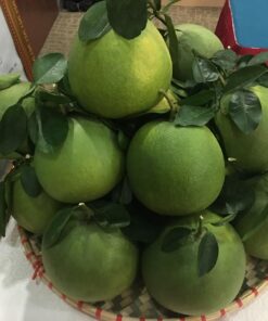 buoidaxanh 02