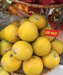 Bưởi ngọt (bưởi Diễn) 9 buoingot 01 2
