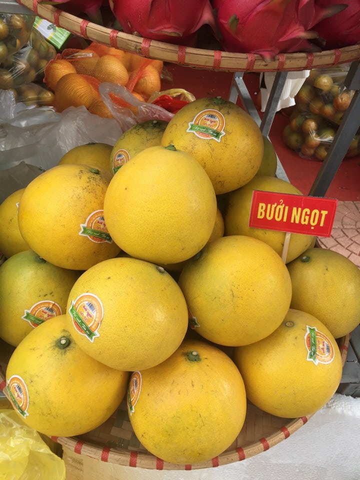 Bưởi ngọt (bưởi Diễn) 5 buoingot 01 2
