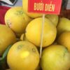 buoingot 02