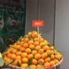 Cam ngọt (cam đường canh) Siêu Ngon,mọng nước 2 camcanh 01
