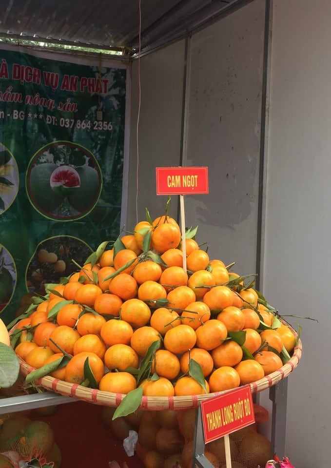 Cam ngọt (cam đường canh) Siêu Ngon,mọng nước 3 camcanh 01