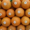 camlongvang 01 2