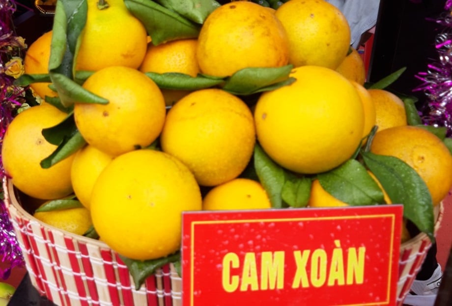 Cam xoàn Lục Ngạn 6 camxoan 01 1