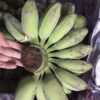 Chuối sáp miền Tây Ngọt Dẻo Thơm Không bị nứt vỏ 2 chuoisap 01