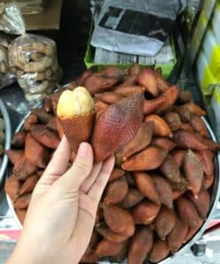 Trái mây Thái (Salak) Chua Ngọt 8 maythai 03