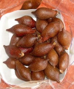 Trái mây Thái (Salak) Chua Ngọt 10 maythai 04