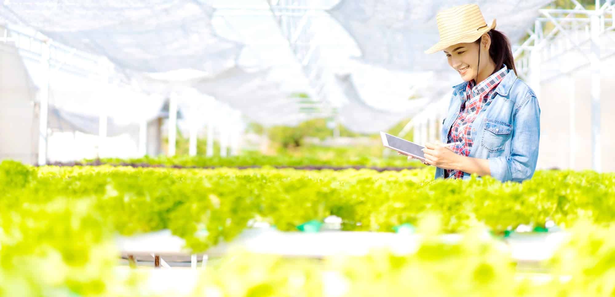 smartfarm 01