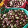Măng cụt miền Đông 2 mangosteen 03