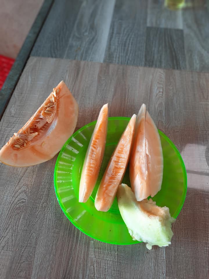 Dưa lưới ruột vàng 2 dua 01