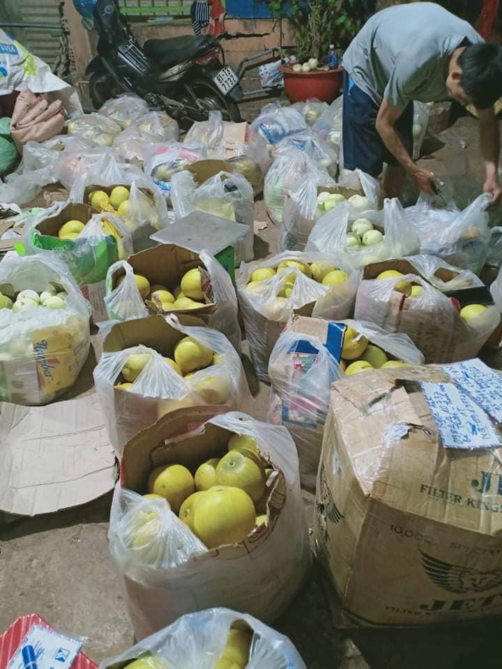 Dưa lưới ruột vàng 4 dua 03