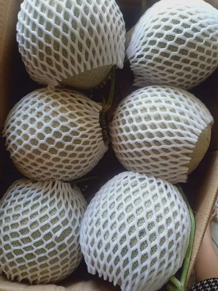 Dưa lưới ruột vàng 7 dua 06