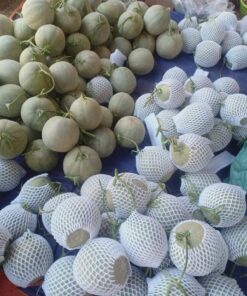 Dưa lưới ruột vàng 14 dua 07