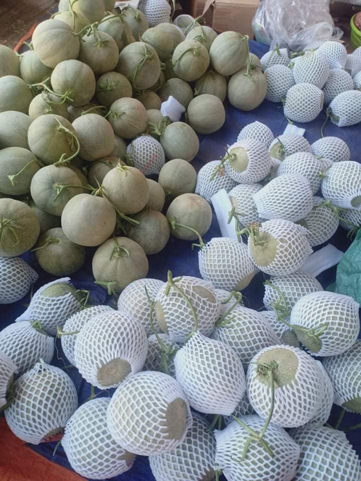 Dưa lưới ruột vàng 8 dua 07