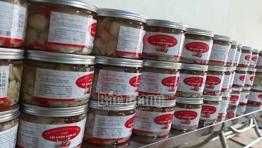 Giấm Kim Ngân xuất khẩu lô hàng đầu tiên sang châu Âu 2 giamkimngan