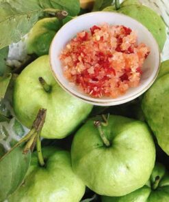 Ổi nữ hoàng miền Tây Đặc Sản Đồng Tháp 7 oi 02