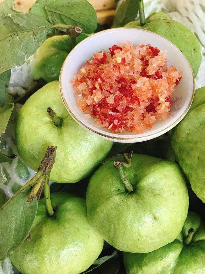 Ổi nữ hoàng miền Tây Đặc Sản Đồng Tháp 4 oi 02