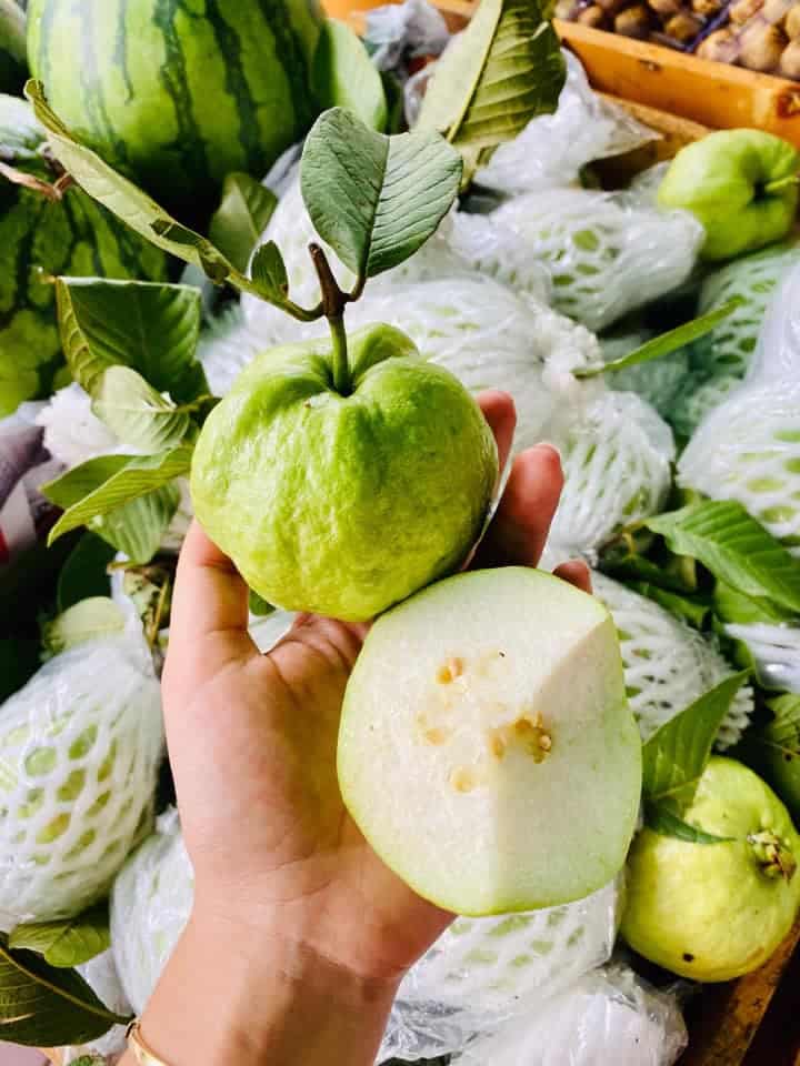 Ổi nữ hoàng miền Tây Đặc Sản Đồng Tháp 5 oi 03