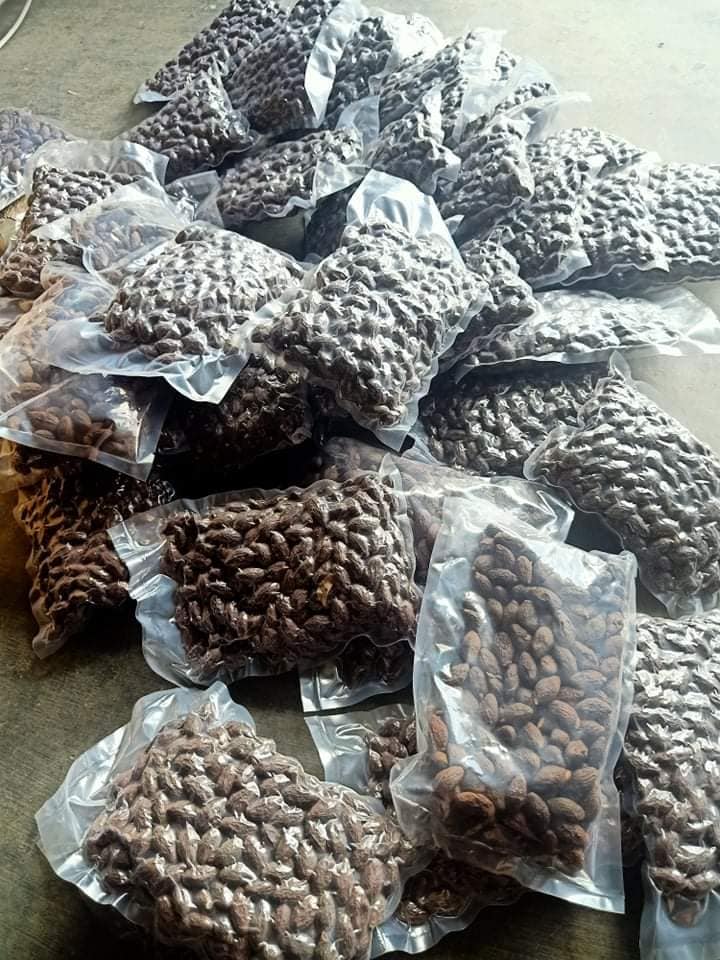 Hạt ươi bay Tây Nguyên 6 uoi 02