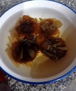Hạt ươi bay Tây Nguyên 10 uoi 05