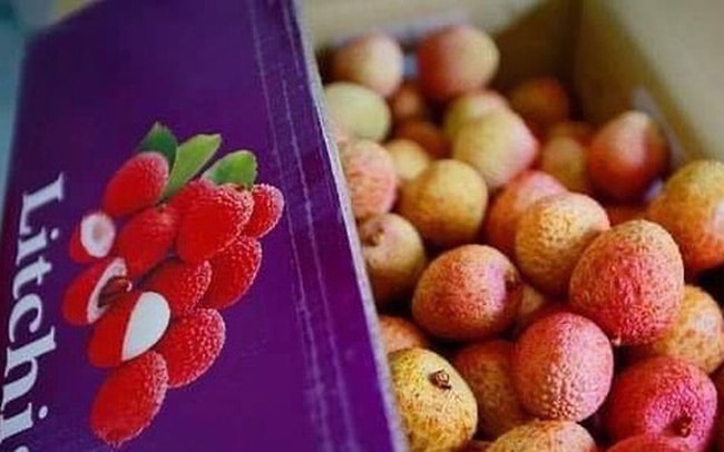 litchi 01