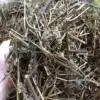 Kinh Giới sấy khô làm đẹp da chữa viêm amidan giảm nhức đầu 3 kinh gioi kho