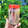 Cá Thu Ngâm Dầu - Hương Vị Biển Cả Tại Gia Đình Của Bạn