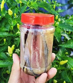 Cá Thu Ngâm Dầu - Hương Vị Biển Cả Tại Gia Đình Của Bạn