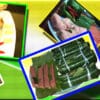 Nem Chả - Hương Vị Truyền Thống Đậm Đà của Ẩm Thực Việt - 20 chiếc 2 Nem Chả - Hương Vị Truyền Thống Đậm Đà của Ẩm Thực Việt