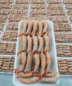 Sản phẩm Chả Ram Tôm Đất - Hương vị truyền thống tuyệt vời tại Công ty TNHH Thương mại và Đầu tư Vietgate