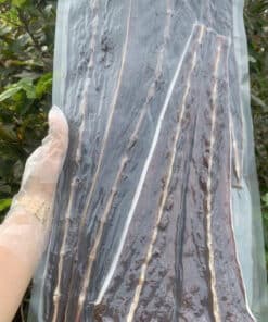 Khô cá đuối đen siêu ngon - đặc sản miền tây