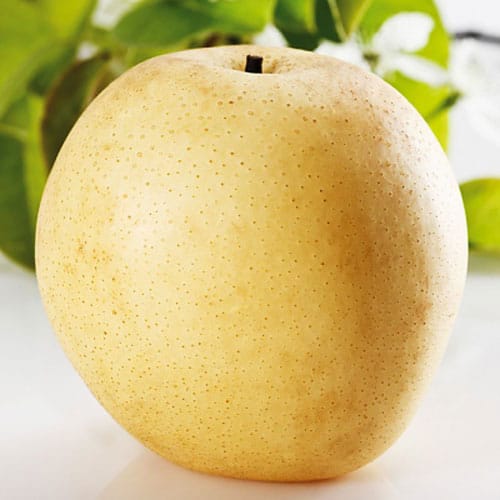 Quả Lê - Sản Phẩm Tươi Ngon Từ Thiên Nhiên 11 Quả Lê - Sản Phẩm Tươi Ngon Từ Thiên Nhiên