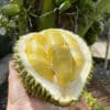 Sầu Riêng: Món ngon độc đáo từ vườn quê 13 Sầu Riêng: Món ngon độc đáo từ vườn quê