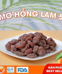 Mơ Hồng Lam 5 Hà Nội
