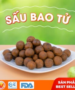 Ô Mai Sấu bao tử Hà Nội