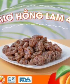 Mơ Hồng Lam 4 - Ô Mai tách hạt Hà Nội