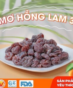 Mơ Hồng Lam 3 Hà Nội